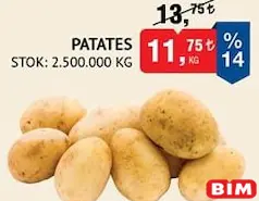 PATATES KG PATATES KG